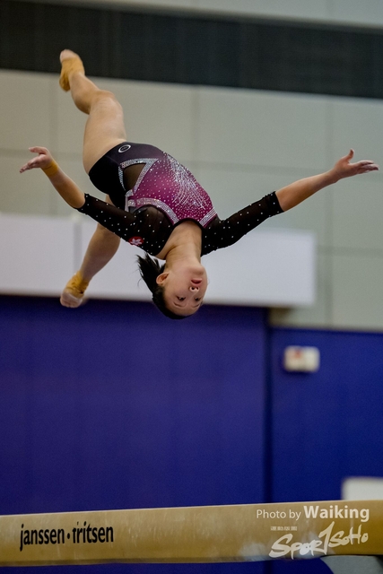 2020-01-19 Artistic Gym 0322