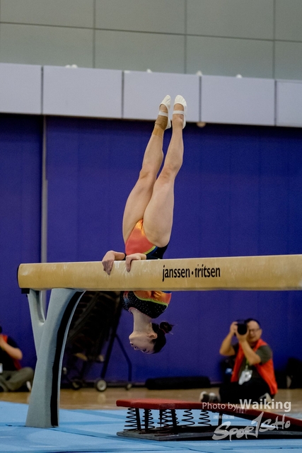 2020-01-19 Artistic Gym 0326