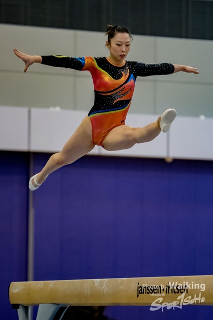 2020-01-19 Artistic Gym 0328