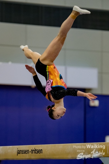 2020-01-19 Artistic Gym 0329
