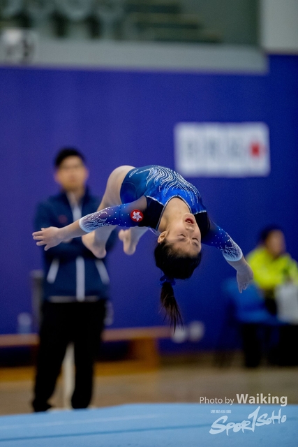 2020-01-19 Artistic Gym 0337