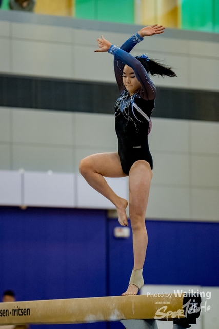 2020-01-19 Artistic Gym 0342