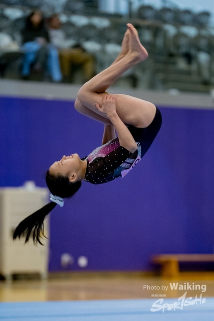2020-01-19 Artistic Gym 0346