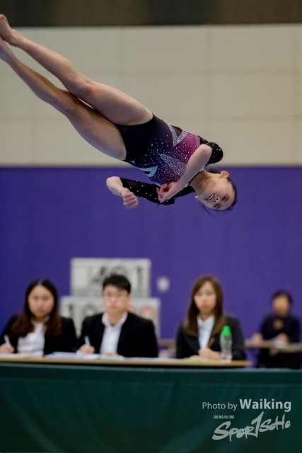 2020-01-19 Artistic Gym 0347