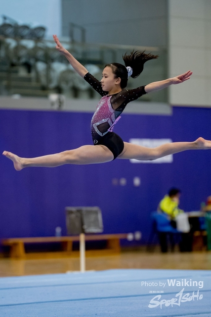 2020-01-19 Artistic Gym 0350