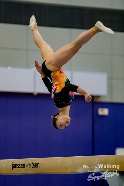 2020-01-19 Artistic Gym 0355