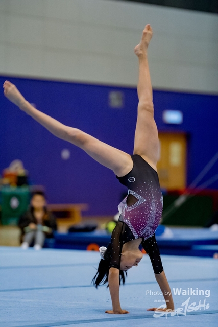 2020-01-19 Artistic Gym 0357