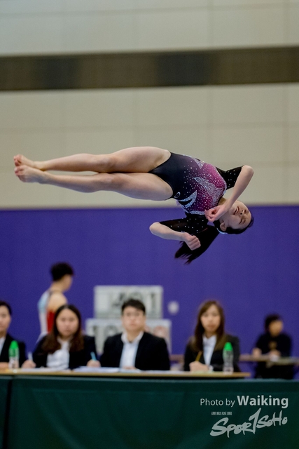 2020-01-19 Artistic Gym 0358