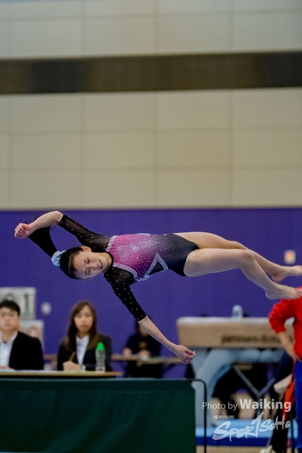 2020-01-19 Artistic Gym 0359