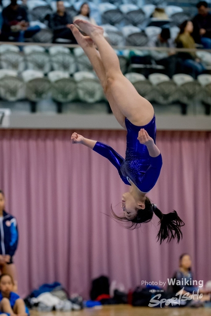 2020-01-19 Artistic Gym 0369