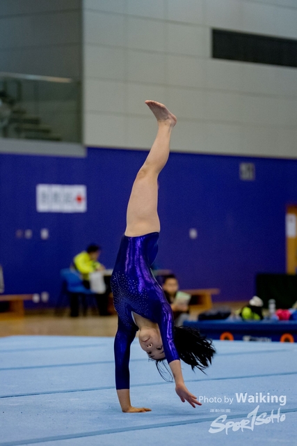2020-01-19 Artistic Gym 0373