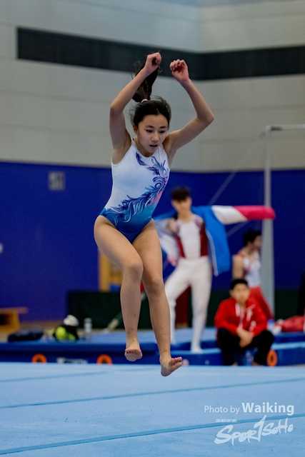 2020-01-19 Artistic Gym 0385