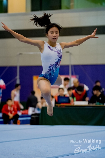 2020-01-19 Artistic Gym 0386