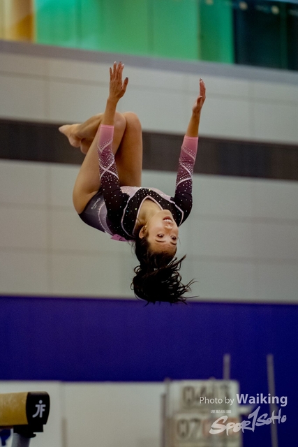 2020-01-19 Artistic Gym 0389