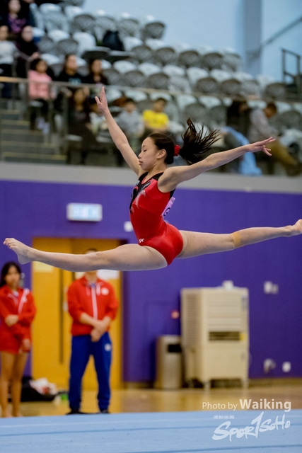 2020-01-19 Artistic Gym 0393