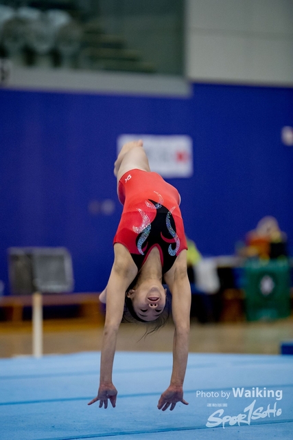 2020-01-19 Artistic Gym 0394