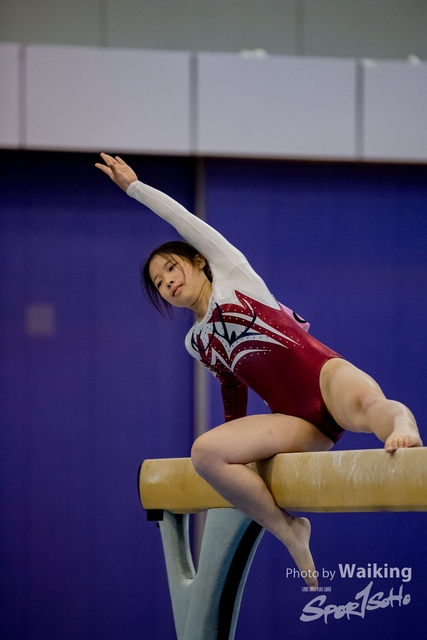 2020-01-19 Artistic Gym 0398