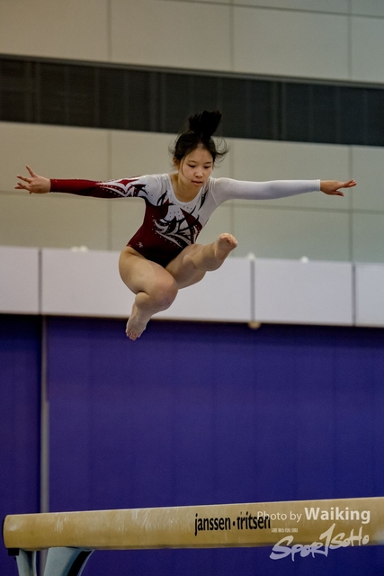 2020-01-19 Artistic Gym 0402