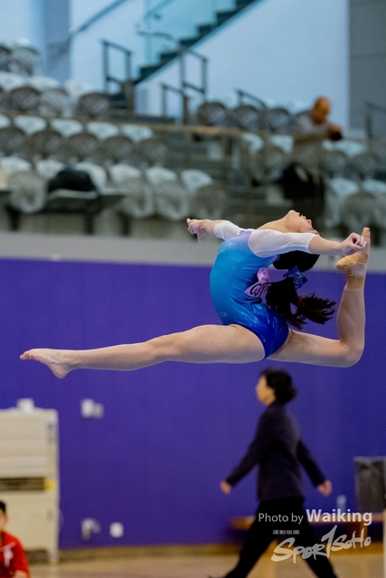 2020-01-19 Artistic Gym 0412