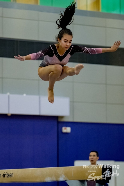 2020-01-19 Artistic Gym 0422