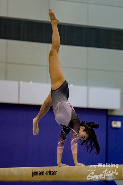 2020-01-19 Artistic Gym 0423