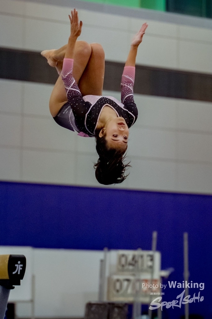 2020-01-19 Artistic Gym 0427