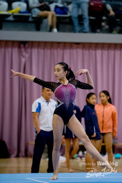 2020-01-19 Artistic Gym 0429