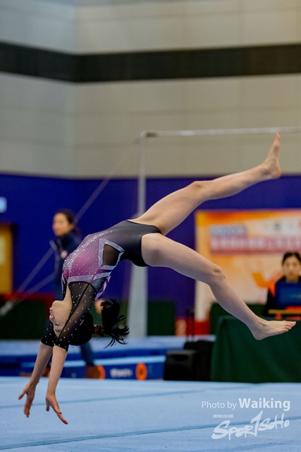 2020-01-19 Artistic Gym 0430