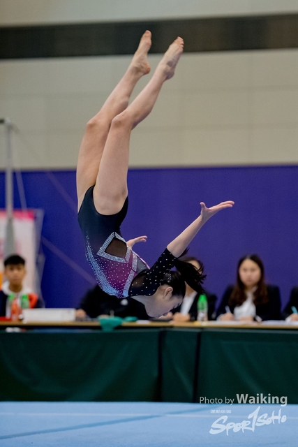 2020-01-19 Artistic Gym 0431