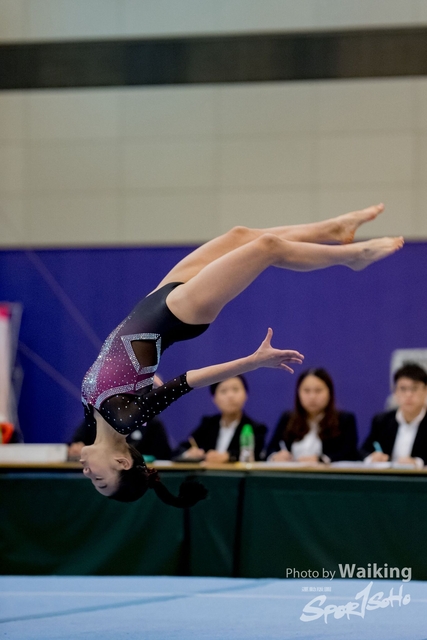 2020-01-19 Artistic Gym 0432