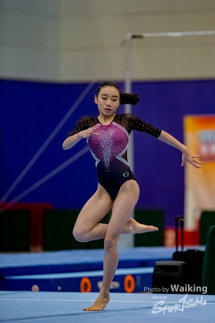 2020-01-19 Artistic Gym 0433