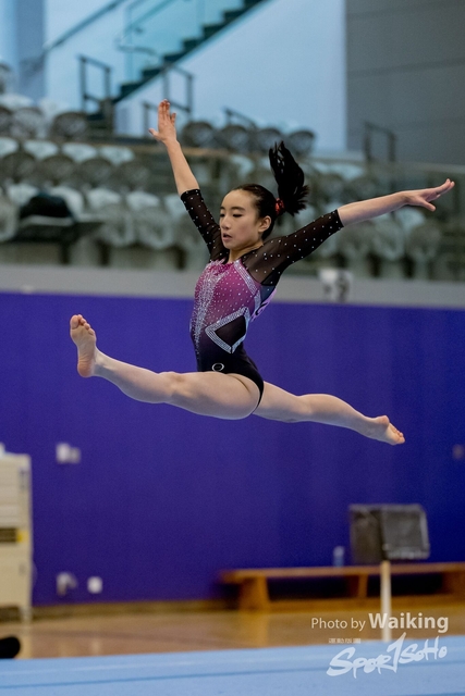 2020-01-19 Artistic Gym 0435
