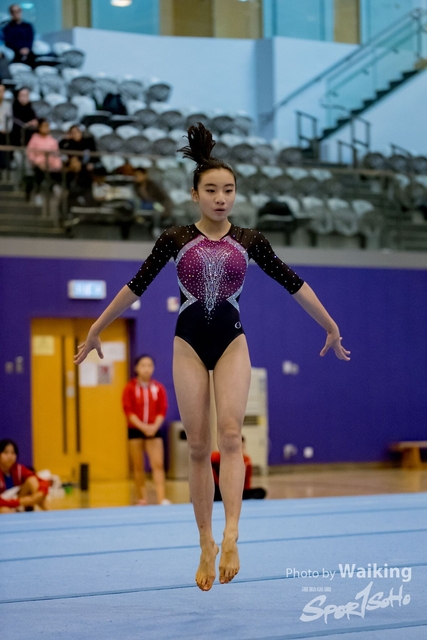 2020-01-19 Artistic Gym 0436