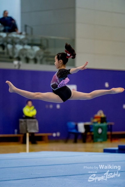 2020-01-19 Artistic Gym 0441