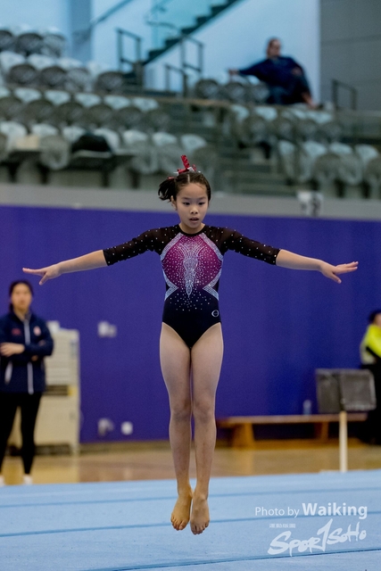 2020-01-19 Artistic Gym 0442