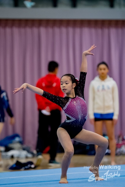 2020-01-19 Artistic Gym 0445