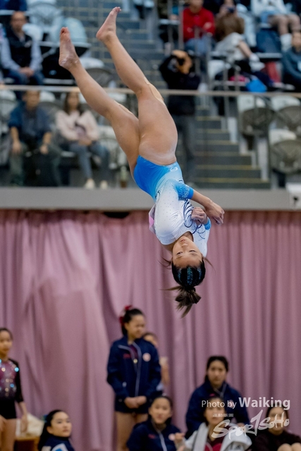 2020-01-19 Artistic Gym 0450