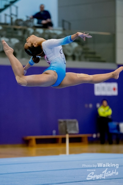 2020-01-19 Artistic Gym 0453