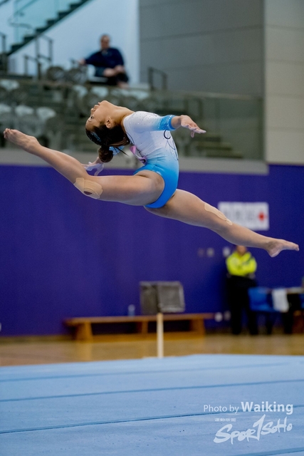 2020-01-19 Artistic Gym 0454
