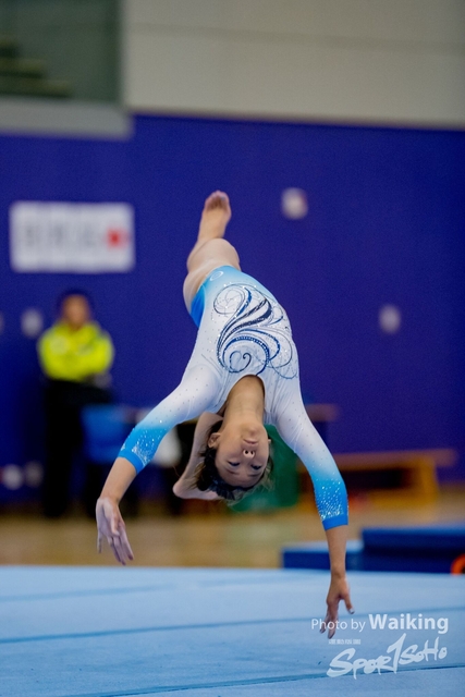 2020-01-19 Artistic Gym 0457