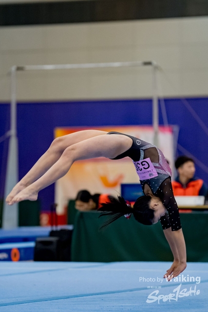2020-01-19 Artistic Gym 0464