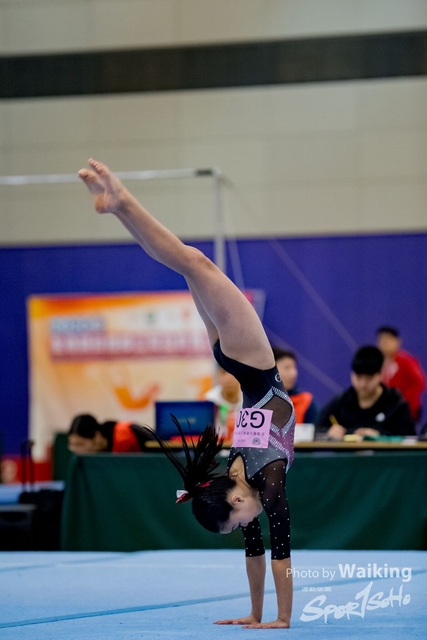 2020-01-19 Artistic Gym 0465