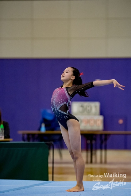 2020-01-19 Artistic Gym 0467