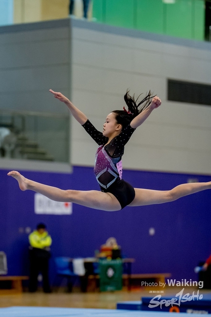 2020-01-19 Artistic Gym 0469