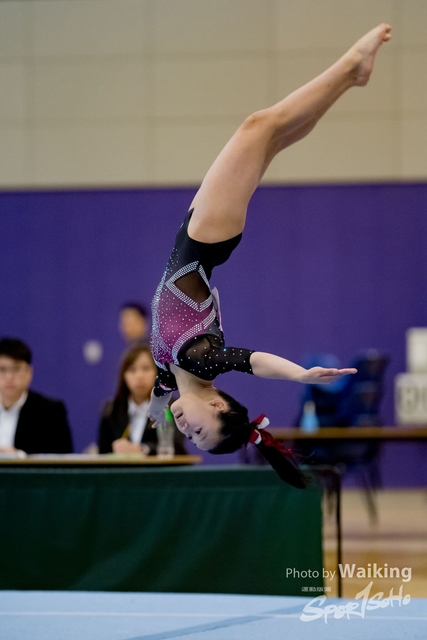 2020-01-19 Artistic Gym 0480