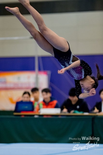 2020-01-19 Artistic Gym 0484