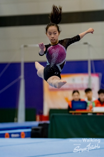 2020-01-19 Artistic Gym 0487