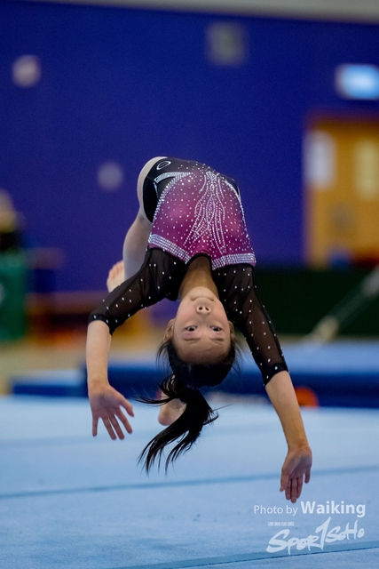 2020-01-19 Artistic Gym 0488