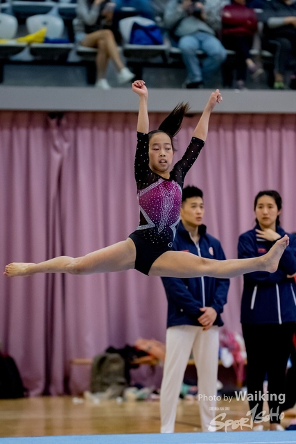 2020-01-19 Artistic Gym 0491