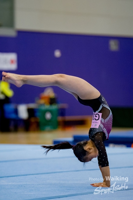 2020-01-19 Artistic Gym 0492